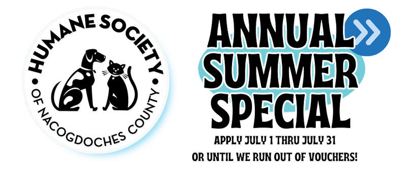 Annual-Summer-Special-Flyer-600px-02